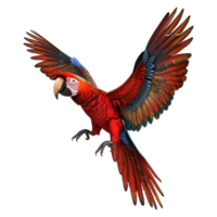 3D Rendering of a Red Macaw Bird on Transparent Background png