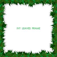 Decorative square frame made of green leaves of ivy plant. Floral plant frame made from wandering plant. Realistic vector