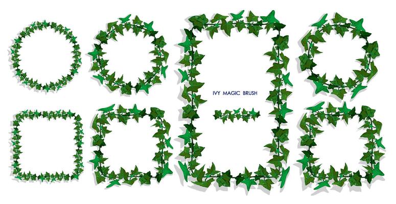ivy liana grass brush with green leaves. Realistic brush for decorating frames, invitation cards.