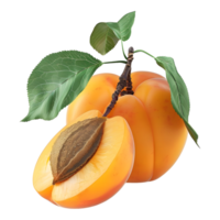 3D Rendering of a Orange Apricot on Transparent Background png