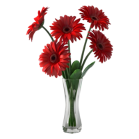 3d Rendern von ein rot Gerbera Gänseblümchen im ein Topf auf transparent Hintergrund png