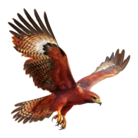 3d representación de un rojo halcón pájaro en transparente antecedentes png