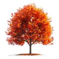 3D Rendering of a Autumn Season Tree on Transparent Background png