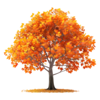 3D Rendering of a Autumn Season Tree on Transparent Background png