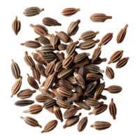 Coriander Seeds on Transparent background png