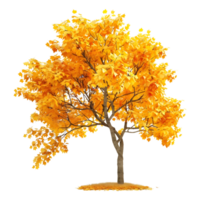 3D Rendering of a Autumn Season Tree on Transparent Background png