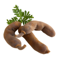 3D Rendering of a Tamarind on Transparent Background png