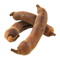 3d representación de un Tamarindo en transparente antecedentes png