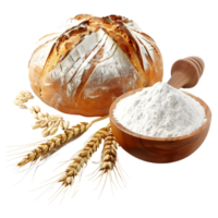 3D Rendering of a Bread with Flour on Transparent Background png