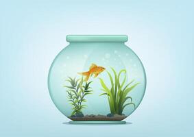 beautiful fish in fishbowl with water plant. vector