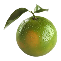 3D Rendering of a Green Oranges on Transparent Background png