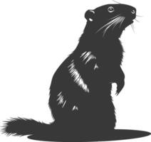 Silhouette marmot animal black color only full body vector