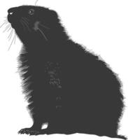 Silhouette marmot animal black color only full body vector