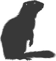 Silhouette marmot animal black color only full body vector