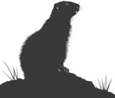 Silhouette marmot animal black color only full body vector