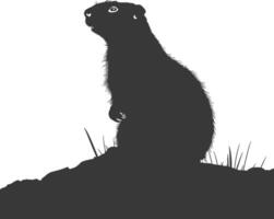 Silhouette marmot animal black color only full body vector