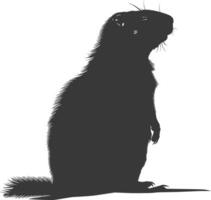 Silhouette marmot animal black color only full body vector