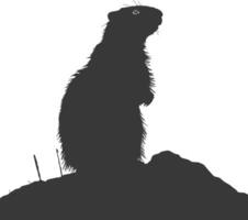 Silhouette marmot animal black color only full body vector