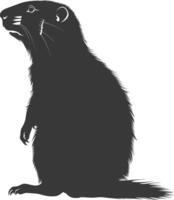 Silhouette marmot animal black color only full body vector