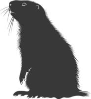 Silhouette marmot animal black color only full body vector