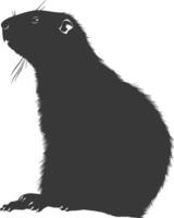 Silhouette marmot animal black color only full body vector