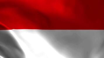 indonesiska flagga fladdrande i de vind. detaljerad tyg textur. video