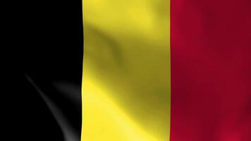 belgie vlag fladderend in de wind. gedetailleerd kleding stof textuur. video