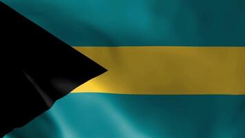 Bahamas vlag fladderend in de wind. gedetailleerd kleding stof textuur. naadloos lusvormige animatie. video