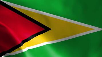 Guyana vlag fladderend in de wind. gedetailleerd kleding stof textuur. video