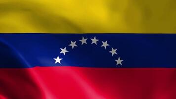 Venezuela bandeira tremulando dentro a vento. detalhado tecido textura. video