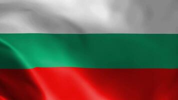 Bulgarian flag fluttering in the wind. detailed fabric texture. video