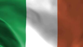 Irish flag fluttering in the wind. detailed fabric texture. video