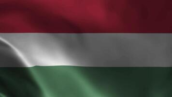 húngaro bandeira tremulando dentro a vento. detalhado tecido textura. desatado em loop animação. video