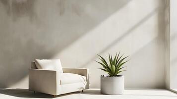 Minimalist Living Room with Couch, Plant, and Warm Sunlight Streaming Through Window photo