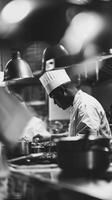 Chefs Cooking in Restaurant Kitchen photo