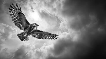 Black and White Photo of Owl in Wilderness