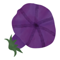 manhã glória flor roxa png