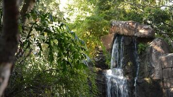 cascata di acqua in esecuzione al di sopra di un' archeologico rovinare nel un' tropicale ambiente video