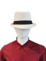 The mannequin is wearing a hat and a red shirt. transparent png