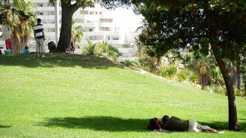 hombre descansando acostado en el sombra de un árbol en un parque video