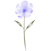 Lilac Watercolour Flower on a Transparent Background png