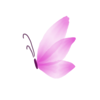 Simple Pink Watercolor Butterfly on a Transparent Background png