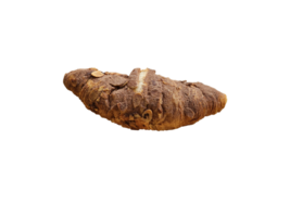 Schokolade Croissants dekoriert mit Kakao Pulver und Mandeln auf ein hölzern Platte. Seite Sicht. auf transparent Hintergrund png