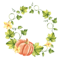 Pumpkin watercolor wreath. Hand drawn vegetable botanical illustration. Can be used for invitation and greeting cards, logos and textile design. Vintage stile. png