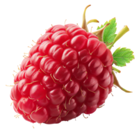 Frais framboise transparent image png