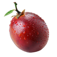 Fresco tamarillo transparente imagen png