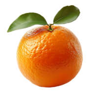 Fresco satsuma naranja transparente imagen png