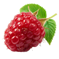 Frais framboise transparent image png