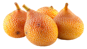 fresco ugli frutta trasparente foto immagine png