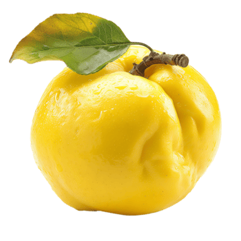 fresco marmelo transparente imagem png